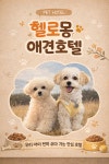 헬로몽 애견미용 애견호텔