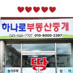 하나로부동산중개