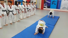 연세대 한양태권도