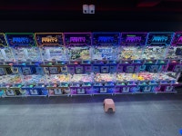 헌터독 괴정먹자골목점