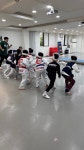 한국체대하나태권도장
