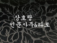 상호랑 인문사주 그리고, 타로