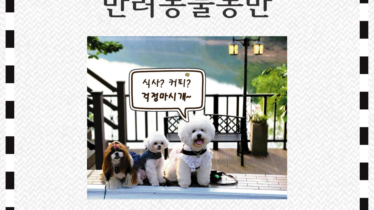 봉평메밀