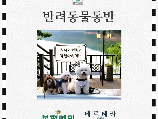 봉평메밀