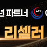 에이스네트웍