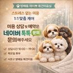 제이뽀애견미용실