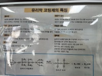 광천퍼펙트스팀세차장 | 영스팀세차장
