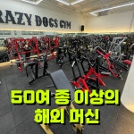 크레이지독스짐