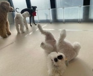 멍설유치원
