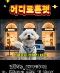 어디로든펫