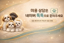 제이뽀애견미용실