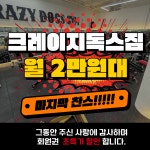 크레이지독스짐