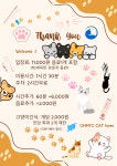 원주 고양이 카페&미용&호텔 오묘