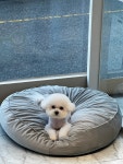 허그멍
