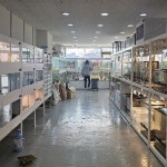 와우펫앤쥬 진주점