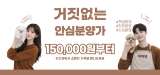 퍼피댕 강아지분양 무료분양 대전유성점
