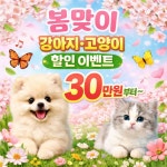 똥강아지 김해강아지분양 고양이분양