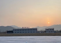 금창유리