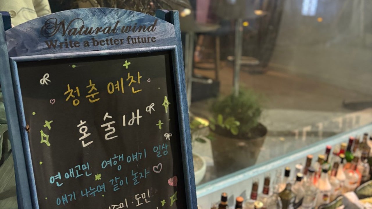 청춘예찬제주혼술바