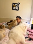 댕겨올개 애견유치원 & 애견호텔