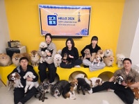 댕겨올개 애견유치원 & 애견호텔