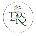 댕캉스쿨 애견유치원&애견호텔