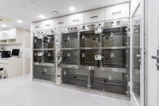 24시이은동물의료센터