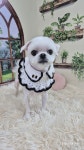멍