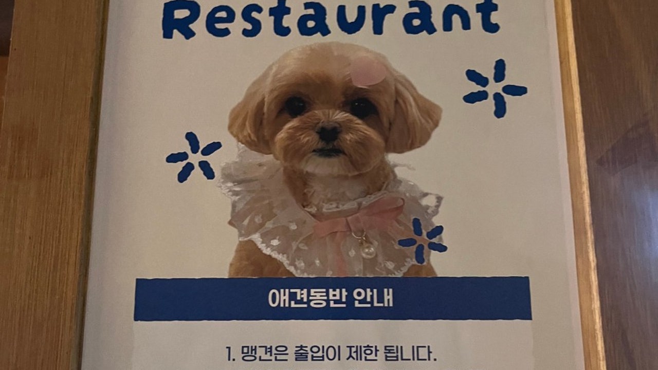 낮밤