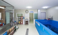 어업회사법인힘짱