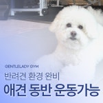젠틀레이디짐 PT&필라테스