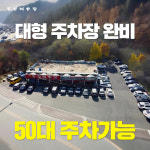 동강매운탕