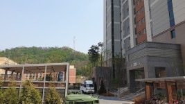 중흥스타부동산 공인중개사사무소