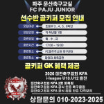 에프씨 파주 주니어&풋살장