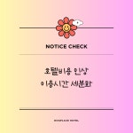 독플레이스