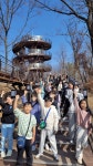 용인대TOP태권도