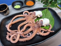 달빛오징어광어 마천직영점