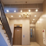 그레이스힐단기보호센터