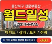 월드일성공인중개사사무소