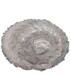 수촌마을 수원권선직영점