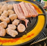 신마포갈매기 마산합성점
