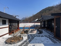 화성블루베리온담채 | 온담채