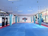 HTS경희대석사태권도장