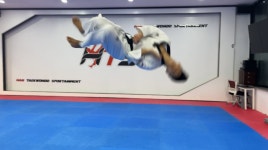 HTS경희대석사태권도장