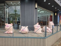 베네치아안경원