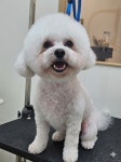 예쁘댕