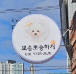 뽀송뽀송하개
