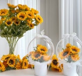 더빛나는파티 김포점