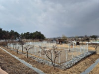 의성펫월드 오토캠핑장