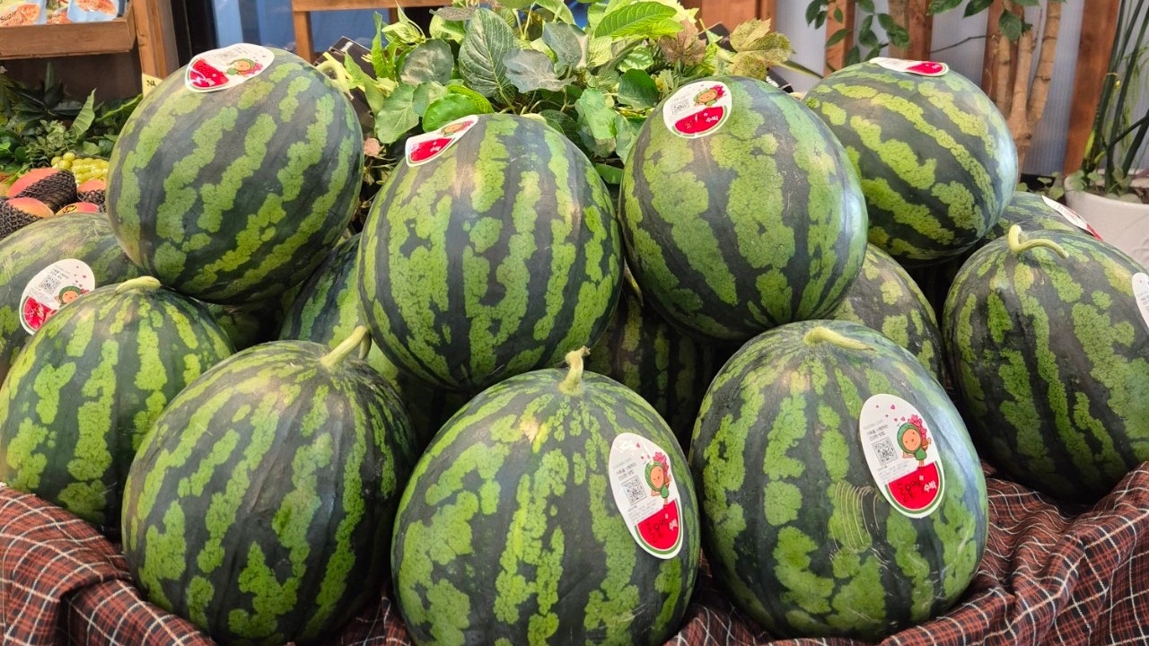 더싱싱한아침